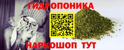 дурь Будённовск