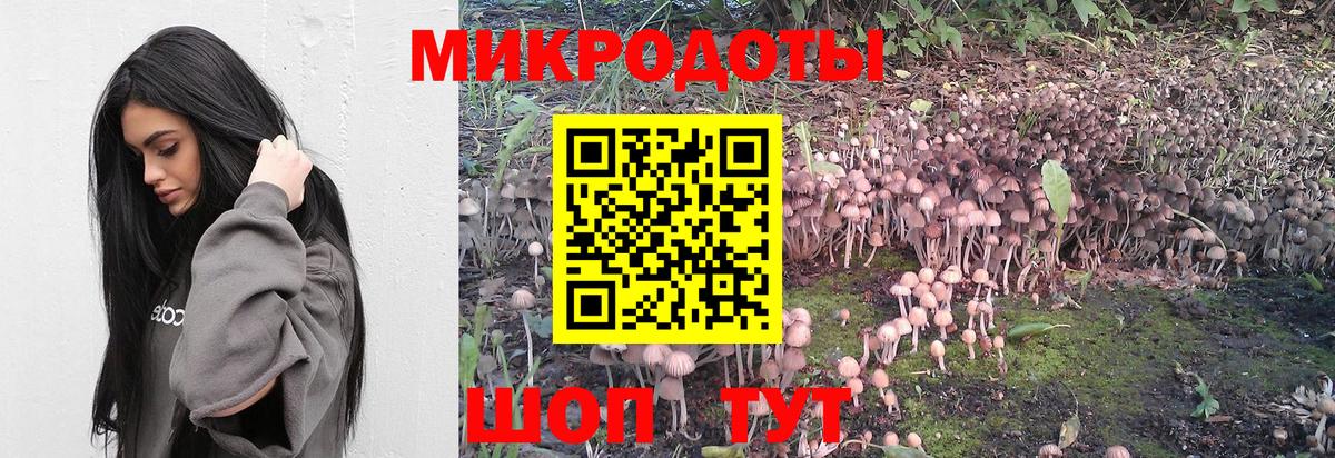 Псилоцибиновые грибы Psilocybine cubensis  Псилоцибиновые грибы Psilocybine cubensis  Вход с VPN  Верхняя Пышма 